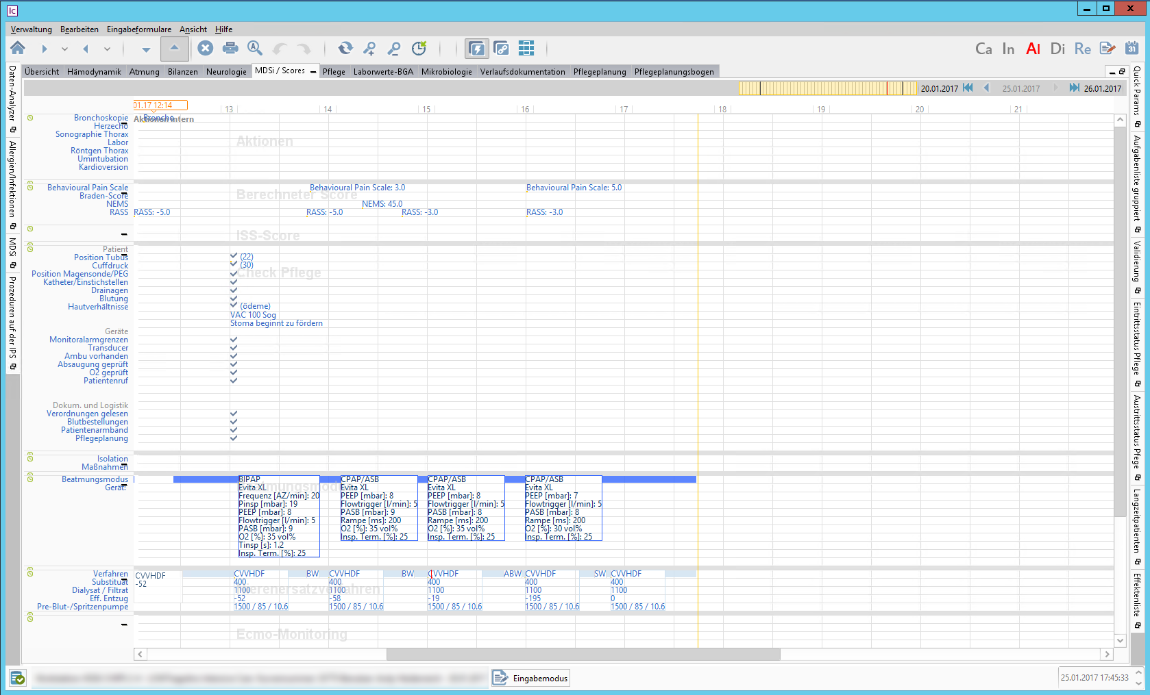 Chart für die Pflege mit Scores, pflegerischen Aktionen und Informationen zu aktuellen Behandlungsverfahren.